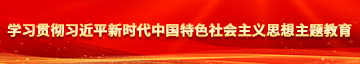 嗯啊爽好大视频学习贯彻习近平新时代中国特色社会主义思想主题教育