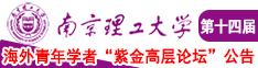 操骚屄精品南京理工大学第十四届海外青年学者紫金论坛诚邀海内外英才！